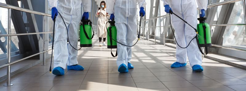 プロのスタッフが除菌・消毒作業