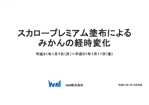 みかんの経時変化